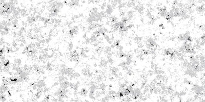 6.Polished Stone - Ash Grey - PS-AG-1200x600-G3