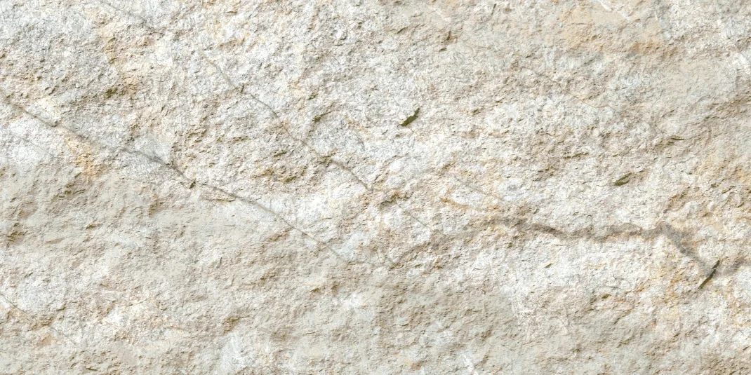 Rough Surface — detaliu de textură